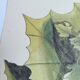 Old bird engraving - Flycatcher - Ornitology board by Seligmann & Catesby. 1973
