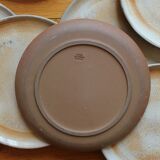 Flat plates in sandstone from the vintage 70s marsh