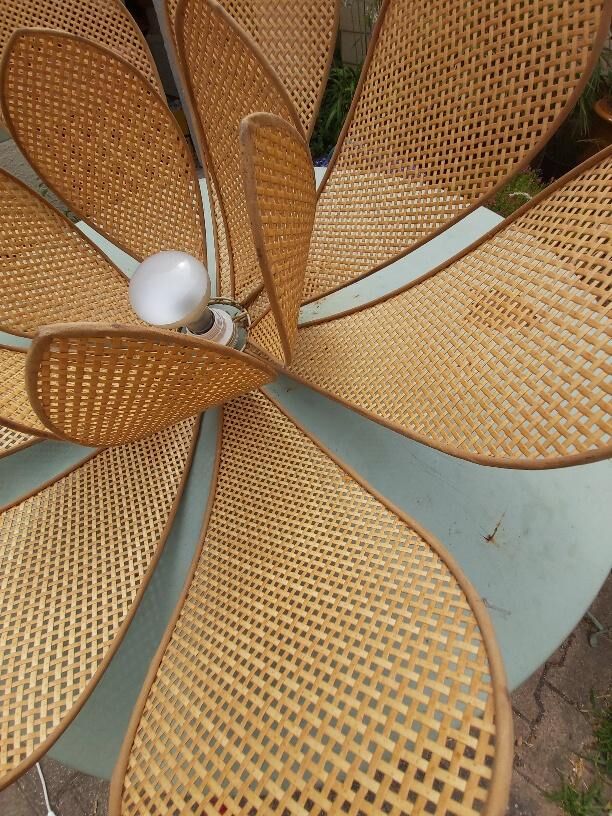 Lotus flower suspension in vintage cannage