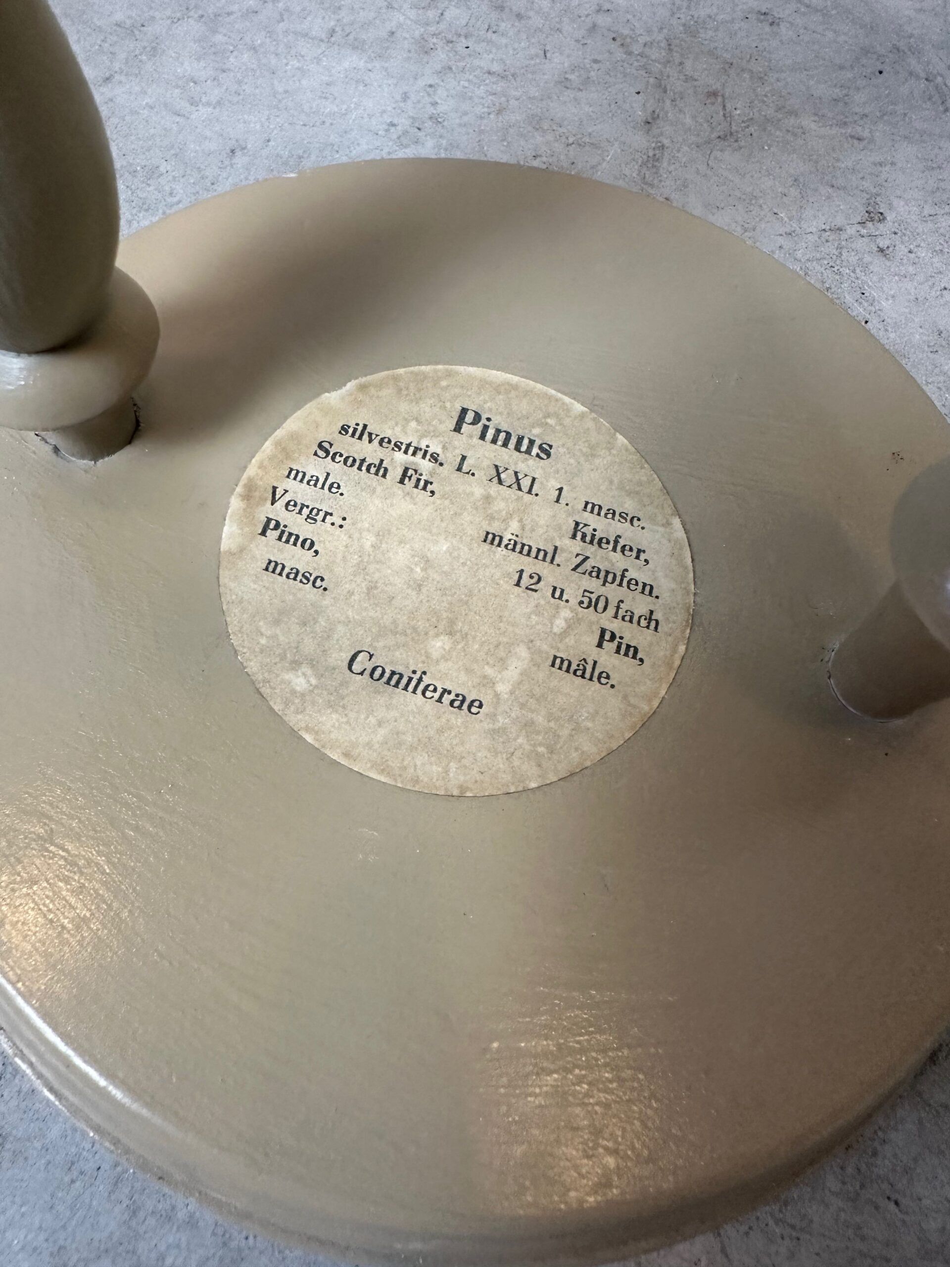 Antique linen school chart + Brendel models