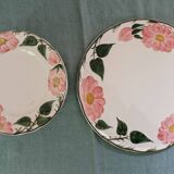 Set of 12 dessert plates + 1 cake plate Villeroy & Boch “Wild Rose”