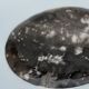 Dish in petrified wood