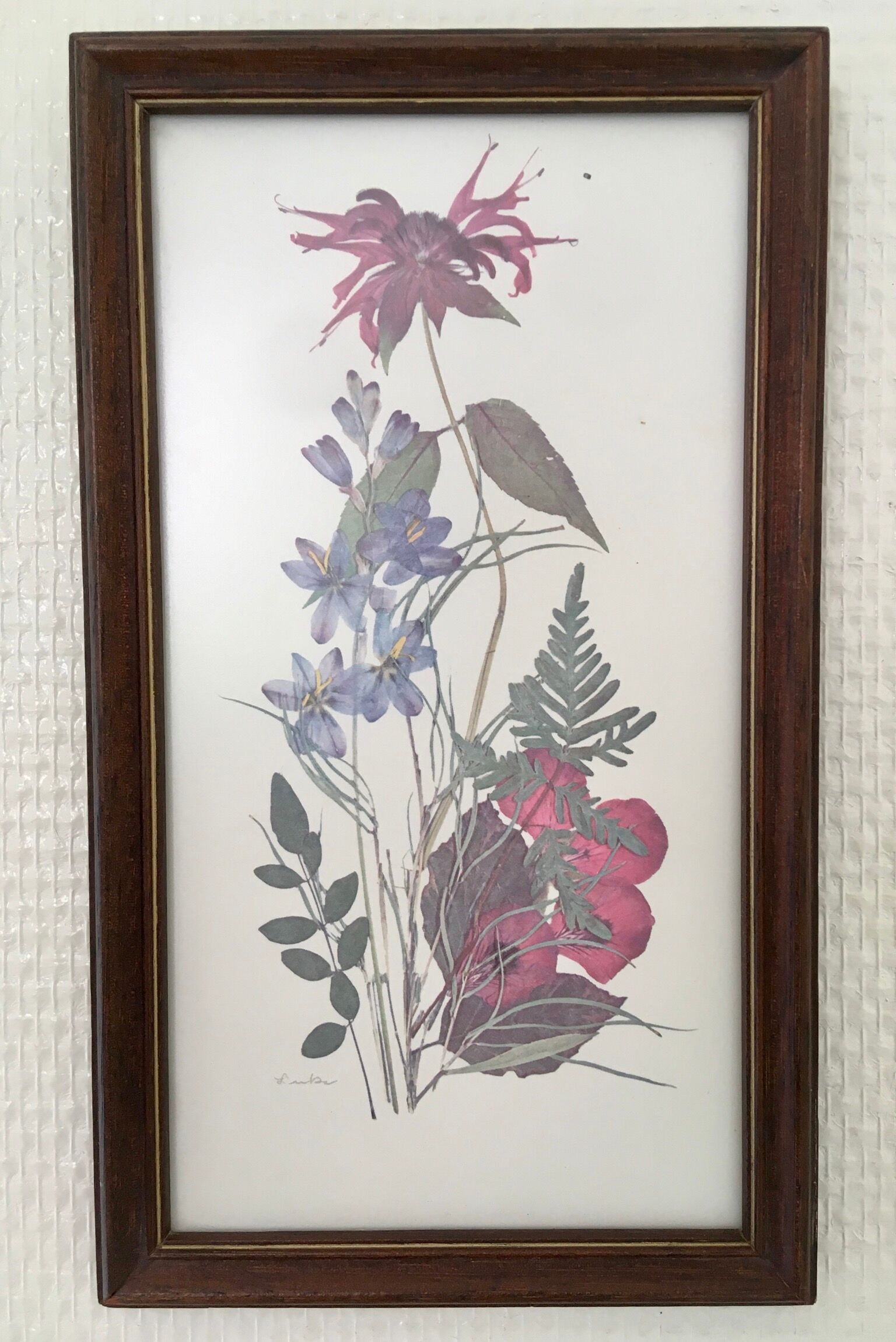 Botanical engraving of vintage flowers in its frame