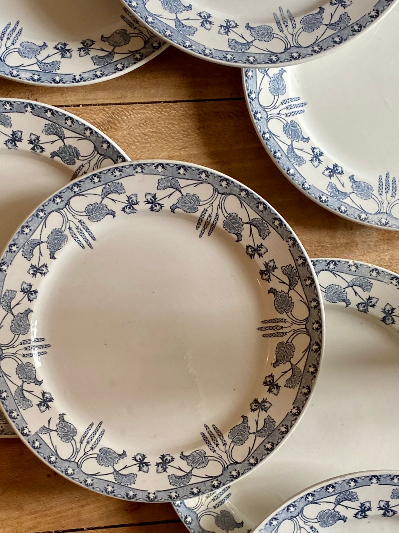 Set of 10 old flat plates in iron earth, model Noisette de Sarreguemines