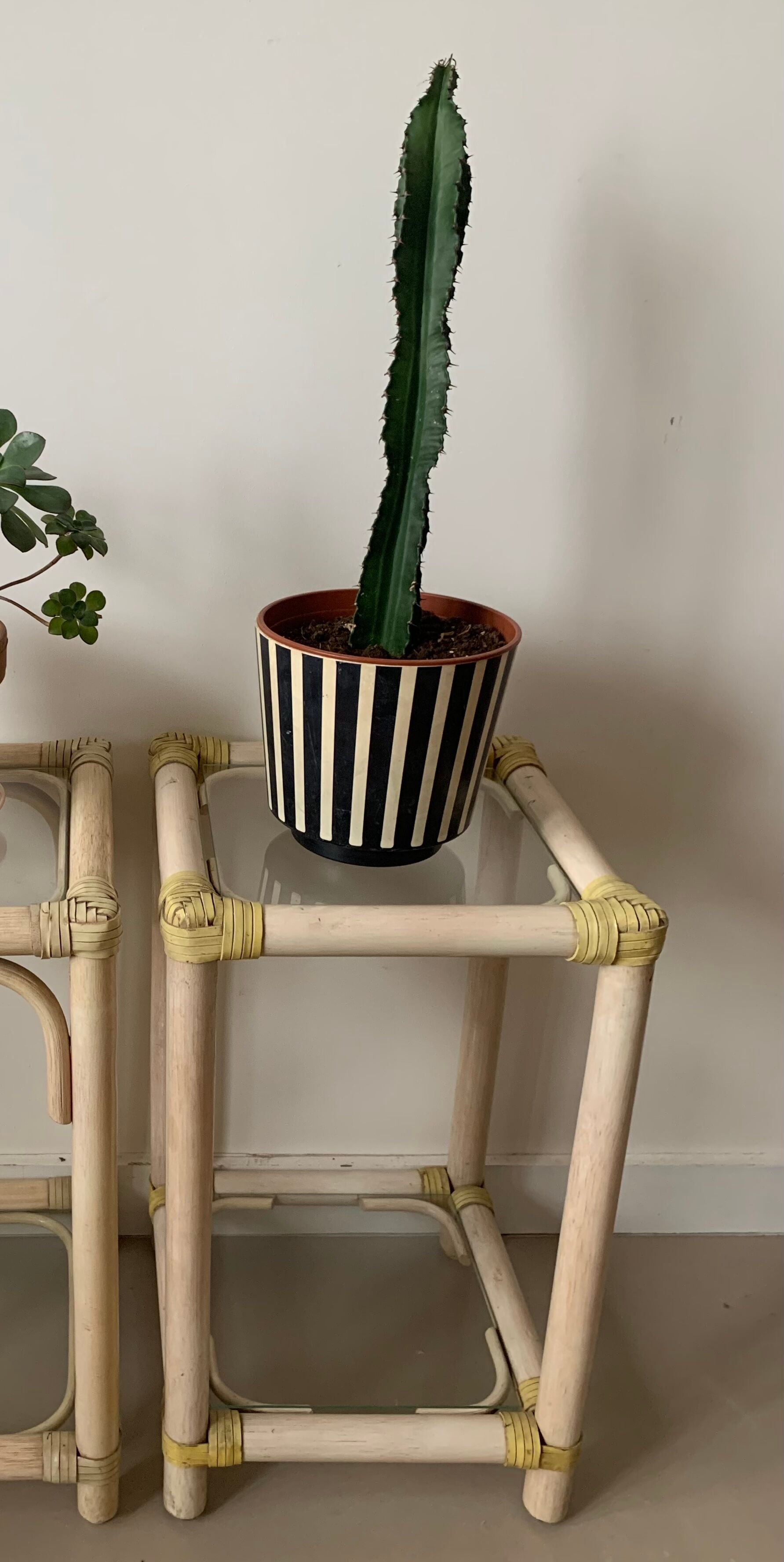 Vintage rattan bedside table