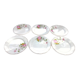 Set of 6 flat plates Digoin