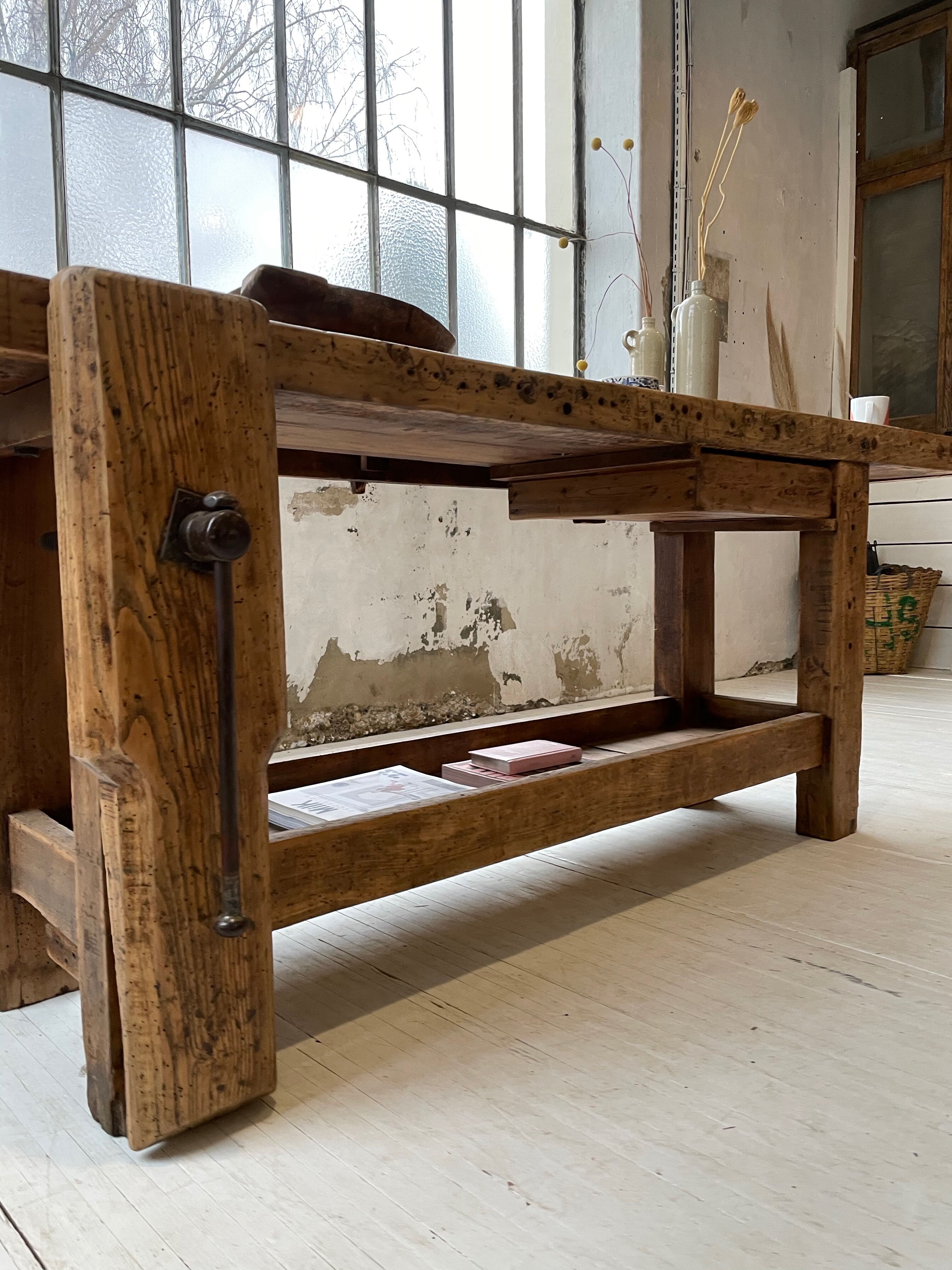 Established old oak XL