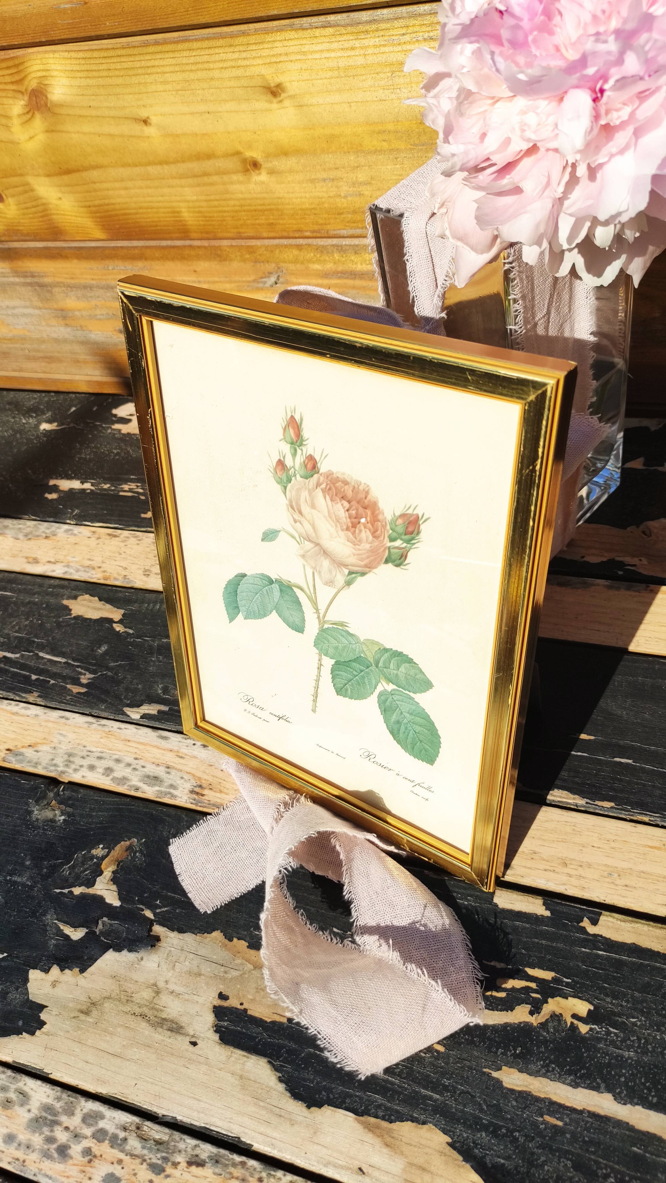Cadre vintage de Redouté en laiton doré
