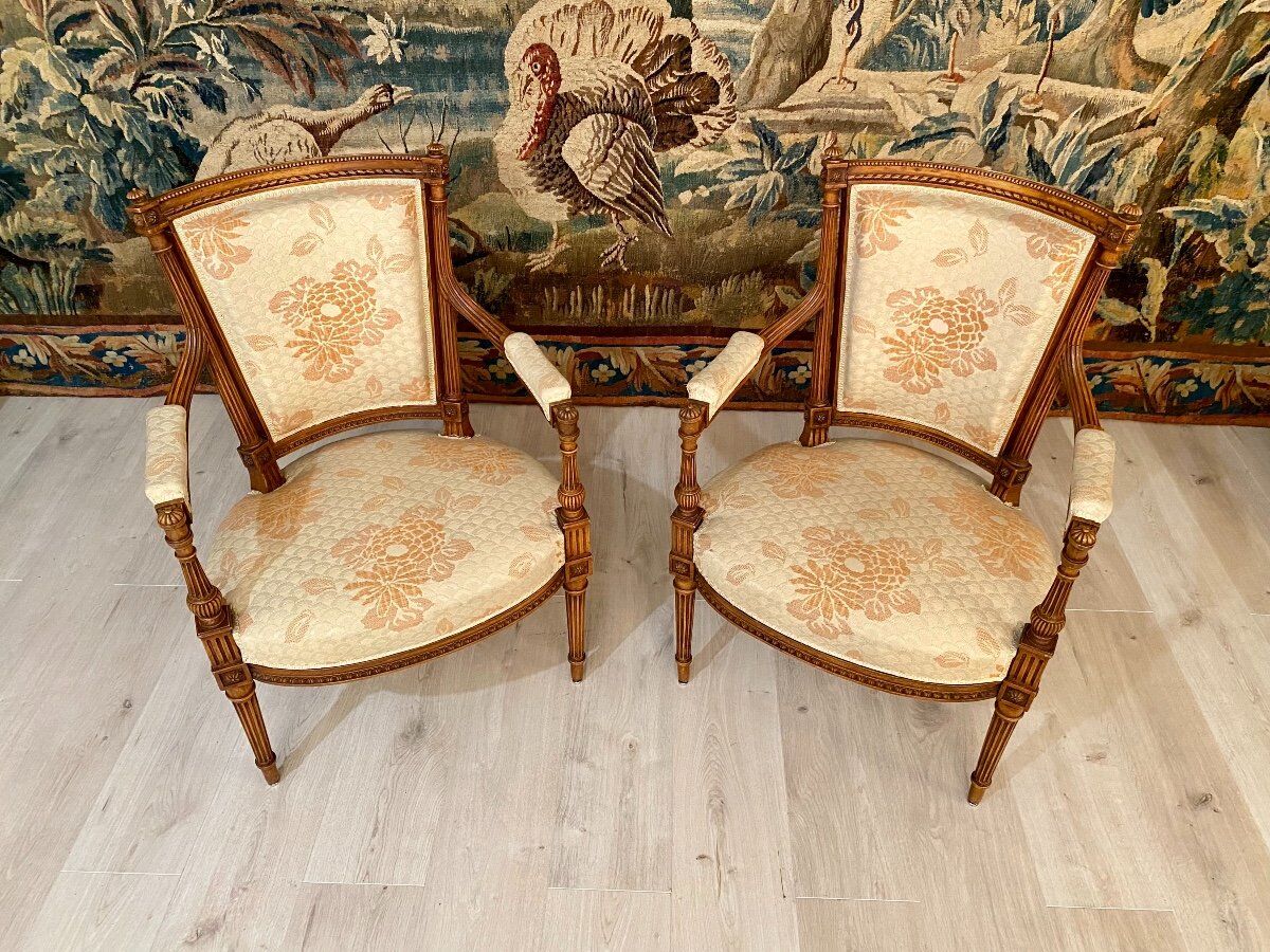 Paire de fauteuils cabriolet de style louis xvi epoque xixeme