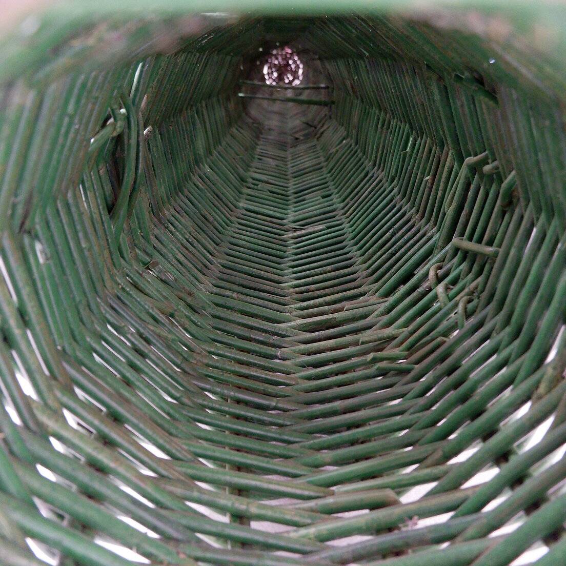 Hand-woven rattan "Saguaro" cactus sculpture 1970 - H:152cm