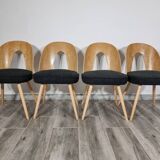 Dining Chairs by Antonin Suman, 1960s, Set of 4