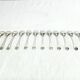 CHRISTOFLE - 12 ATLANTIDE MOCHA SPOONS