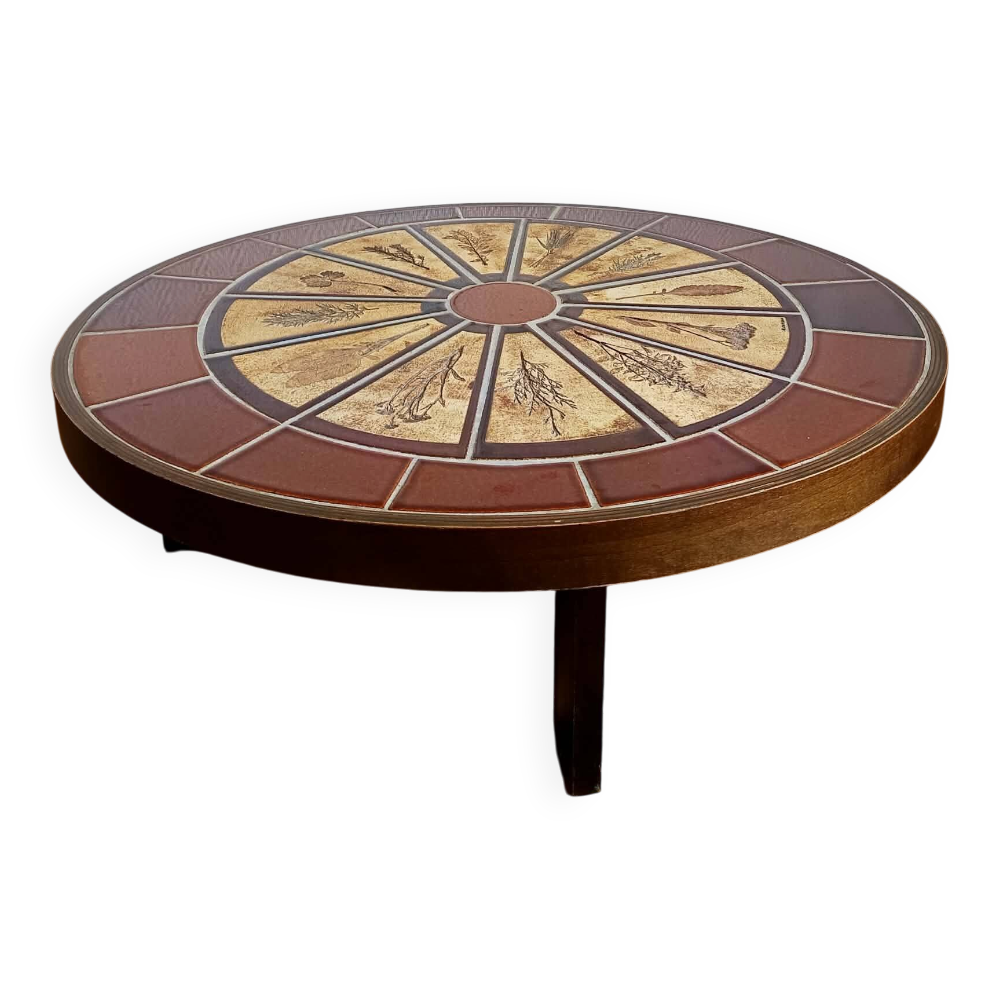 Herbarium coffee table by Roger Capron 1960