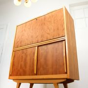 Mid-Century Modern Scandinavian Wooden Bar Cabinet, 1950s