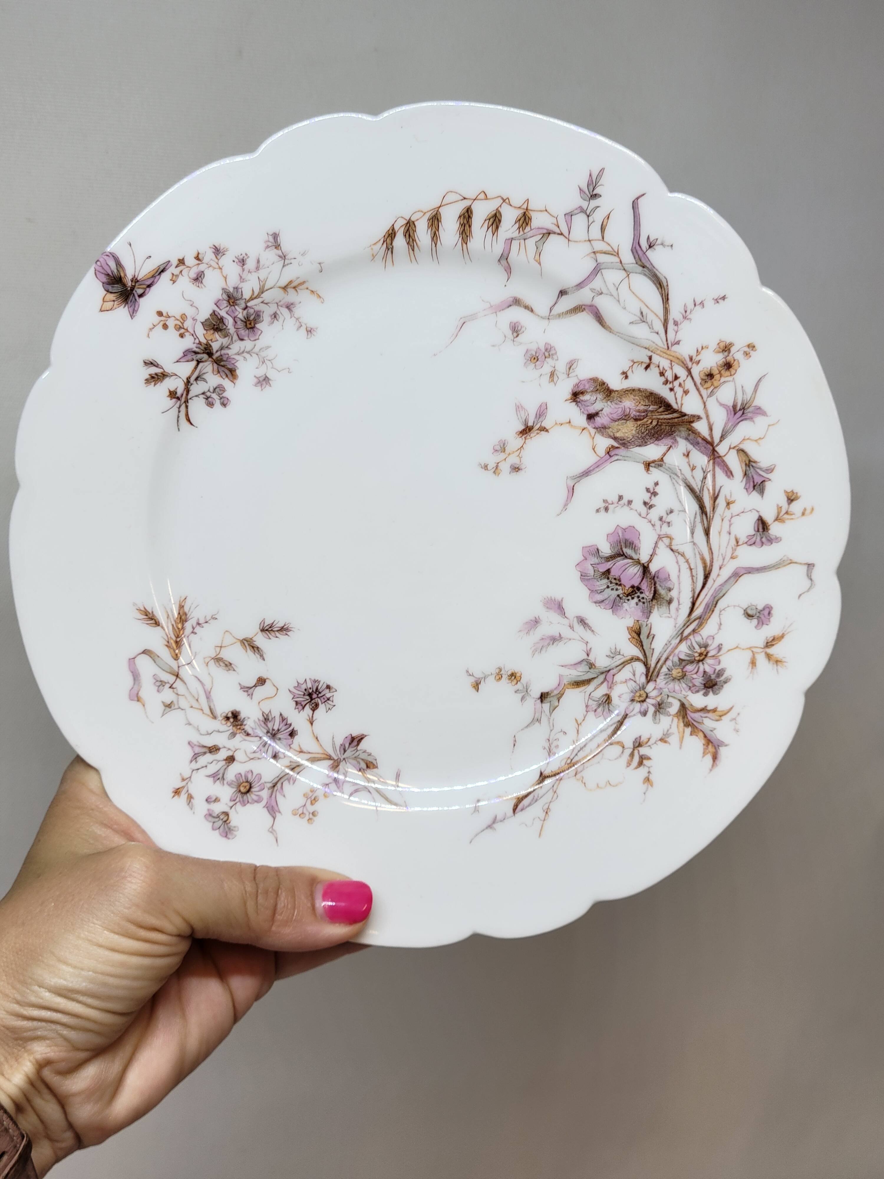 8 Superb Antique 19th Century Plates Decorated with Birds on Branches