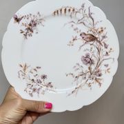 8 Superbes Assiettes Anciennes XIXème Décor Aux Oiseaux Sur Des Branches