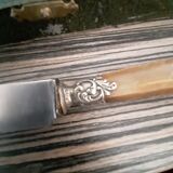 12 horn handle knives
