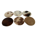 Six cow coasters