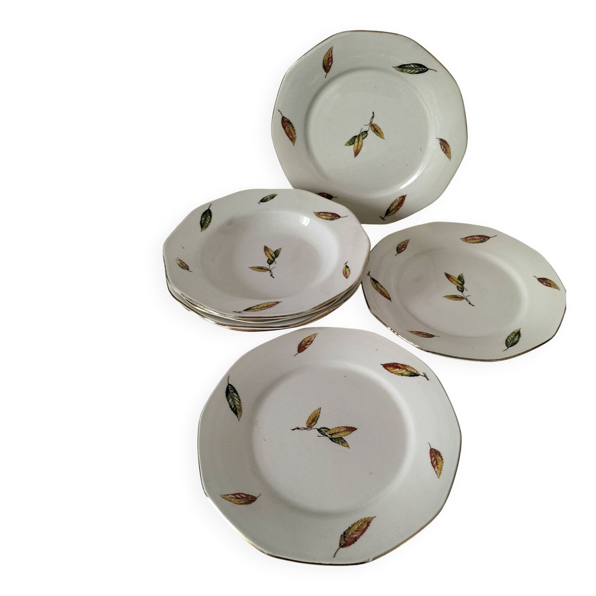 7 assiettes plates et creuses en faïence opaque Digoin Sarreguemines Nemours
