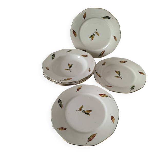 7 assiettes plates et creuses en faïence opaque Digoin Sarreguemines Nemours