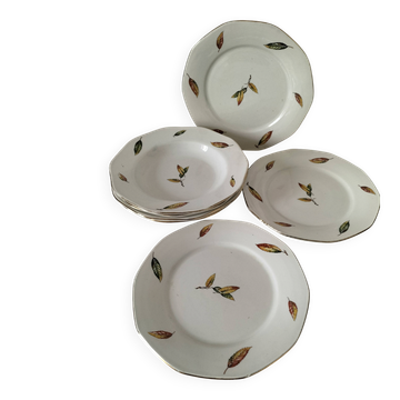 7 plates (flat and deep) Digoin Sarreguemines Nemours opaque earthenware
