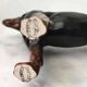 John Beswick porcelain dog