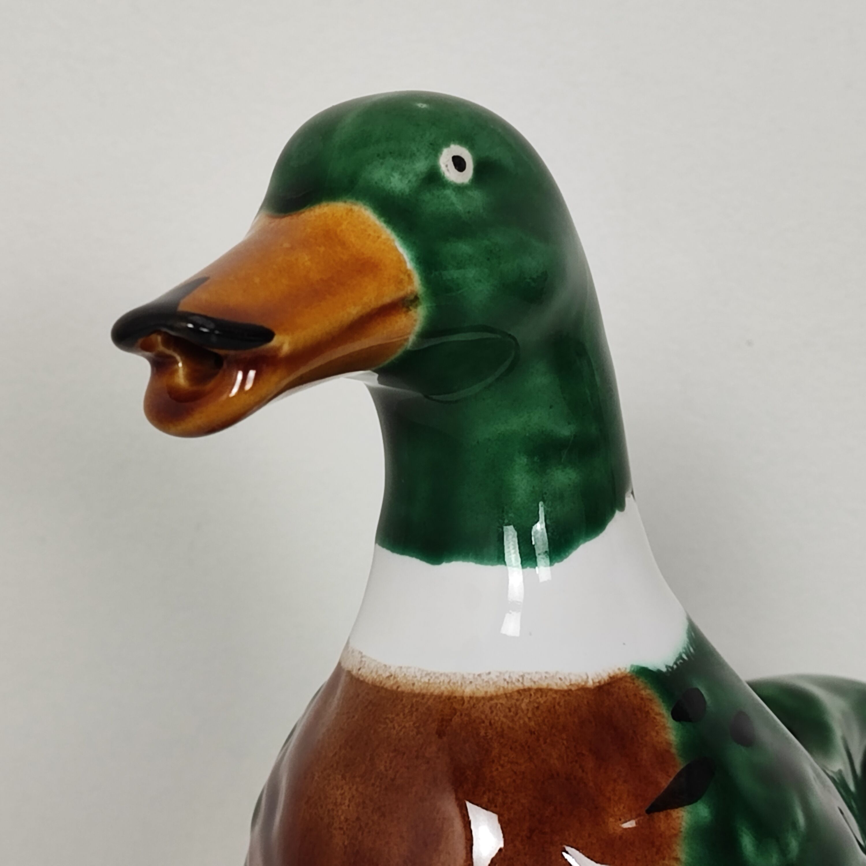 Duck pitcher