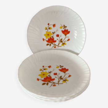 Vintage soup plates