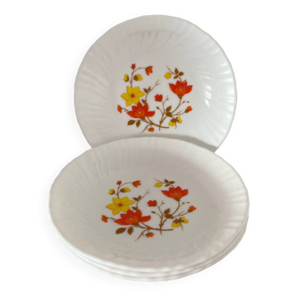 Vintage soup plates