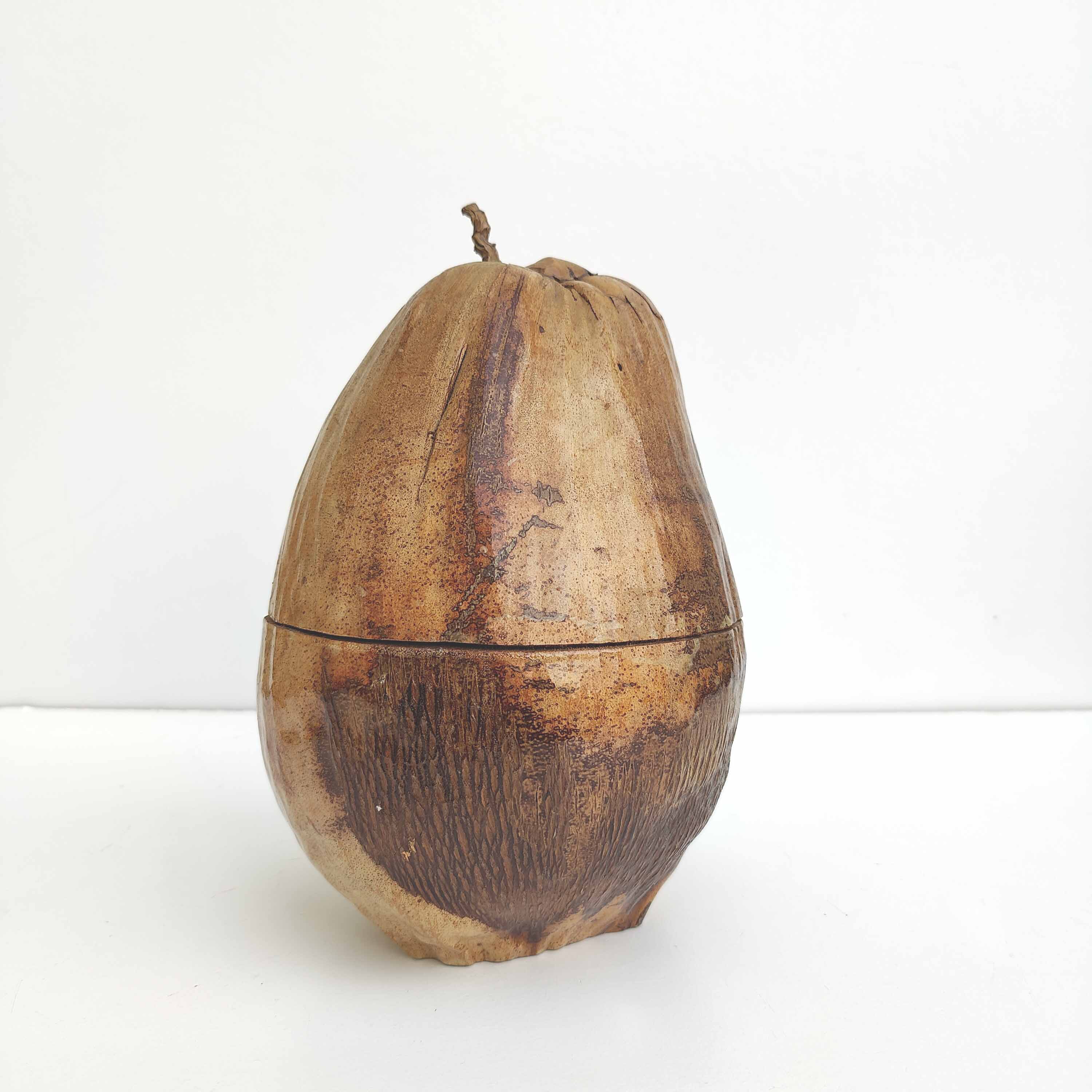 Vintage coconut ice bucket