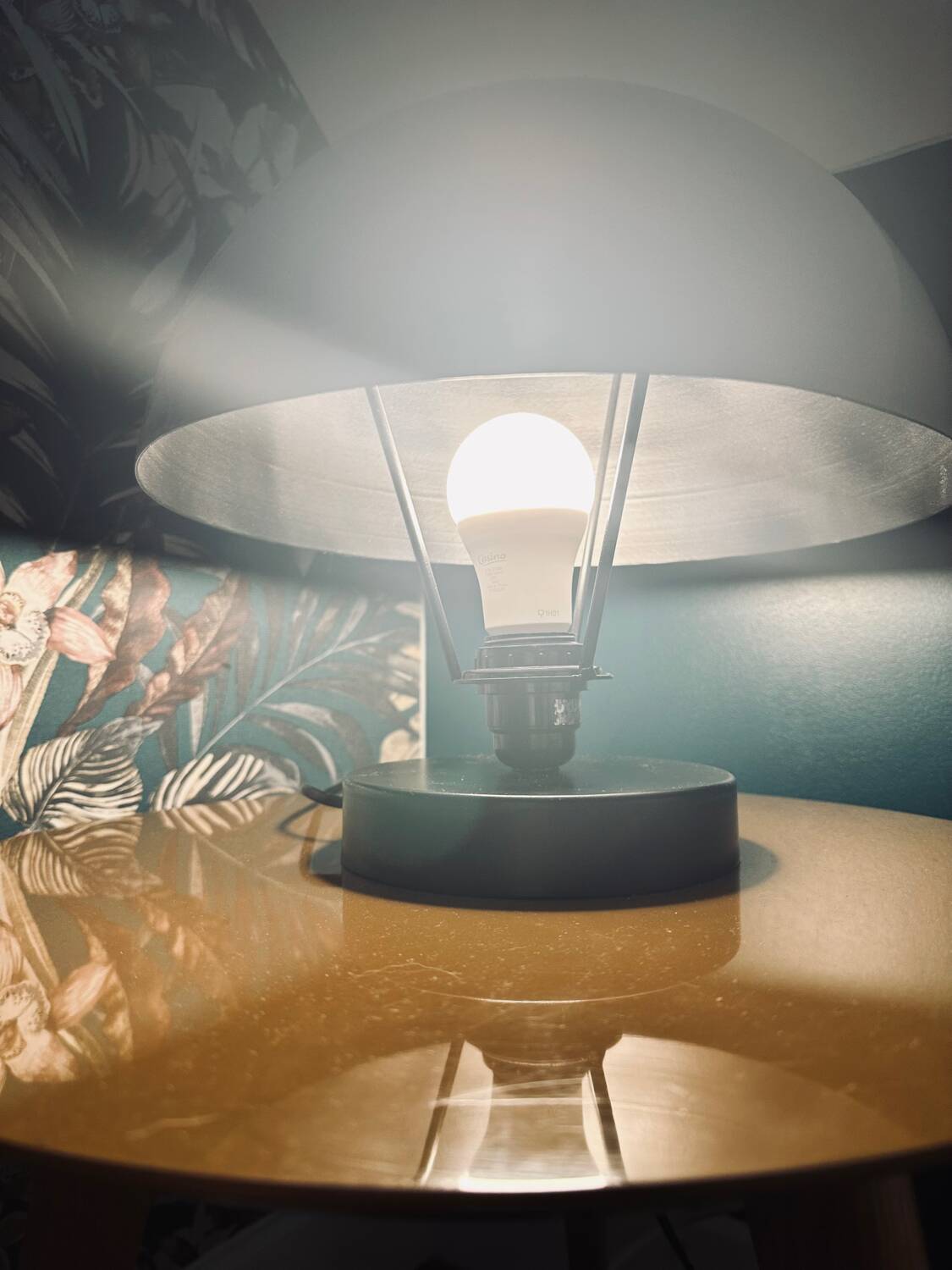 Pair of mushroom lamps