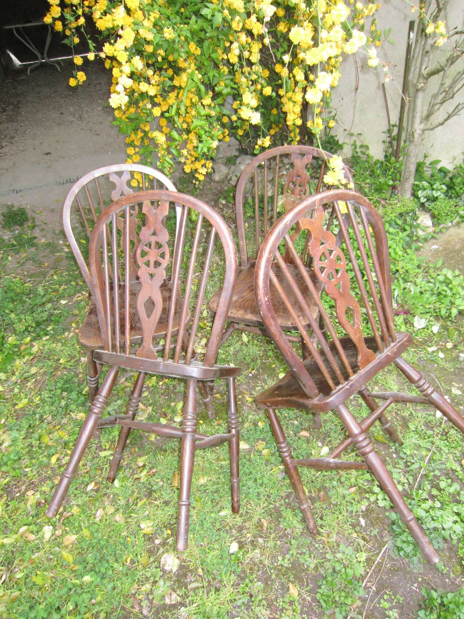 Suite of 4 chairs windsor english bistro
