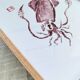 Framed art print, "Print of a squid"