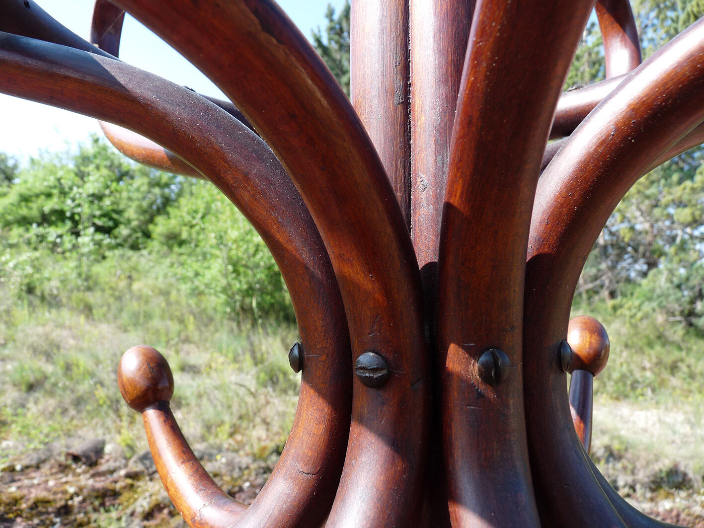 Coat rack Parrot Thonet bentwood 1930