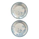 Set of 2 old flat plates