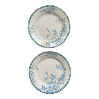 Set of 2 old flat plates