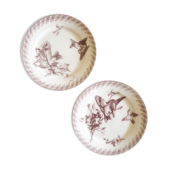 2 antique dessert plates, iron earth, "Buffon" décor, Sarreguemines