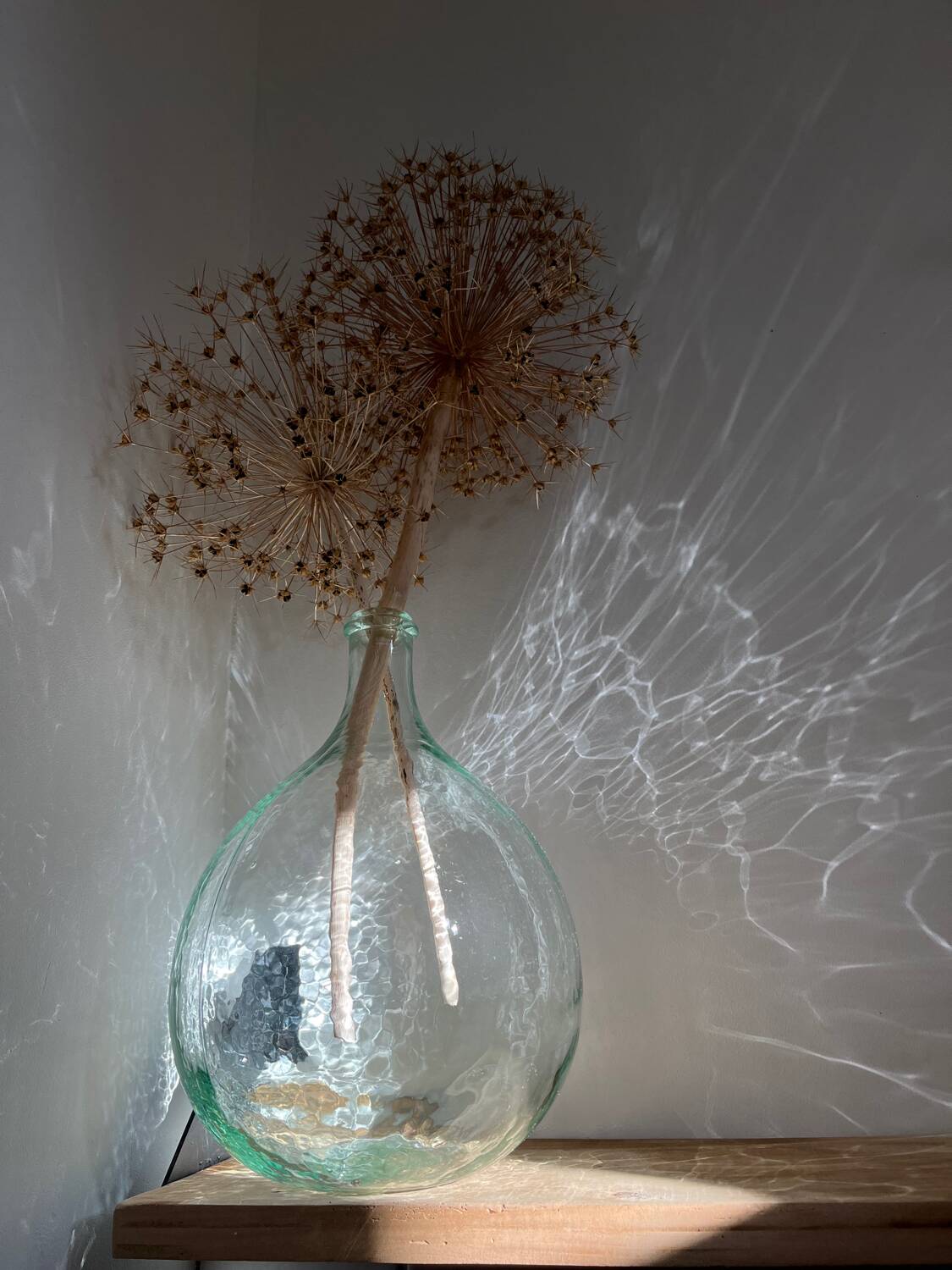 Transparent 5L demijohn