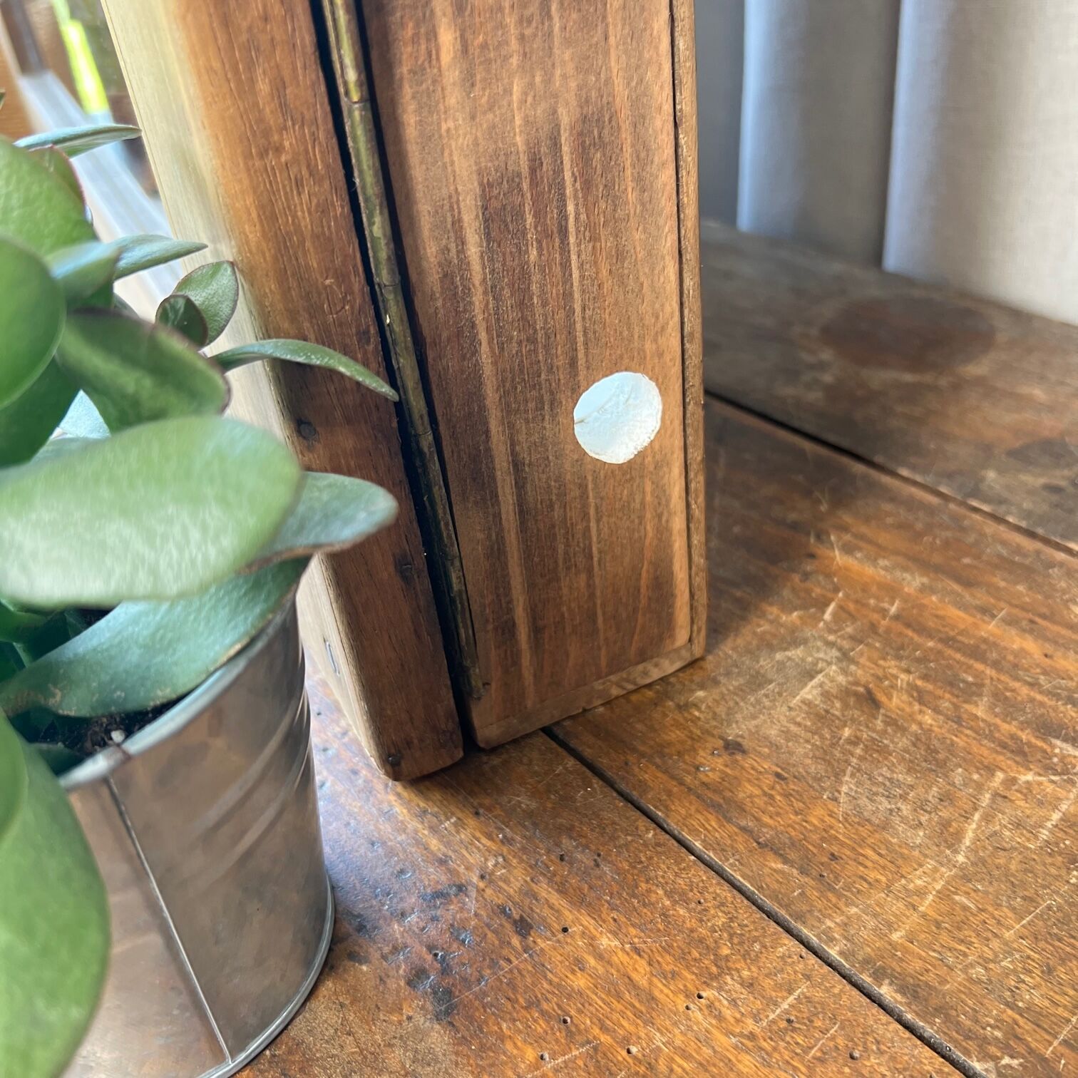 Restaurant wall showcase