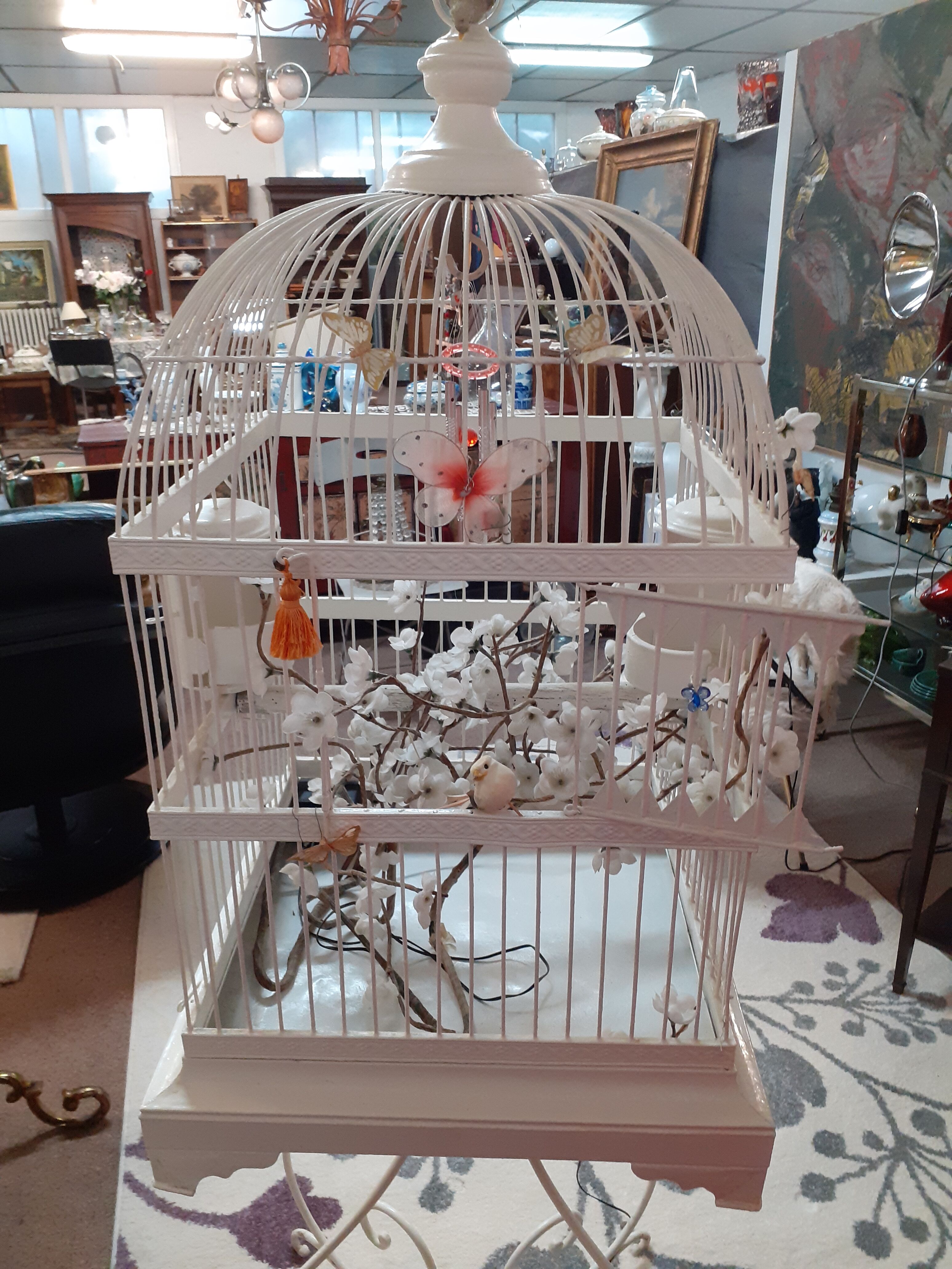 Cage a bird debut XXeme metal on foot
