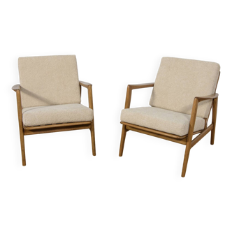 Mid-Century Model 300-139 Armchairs from Swarzędz Factory, 1960s, Set of 2