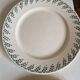 12 assiettes plates Choisy le Roi en terre de fer modèle 1212