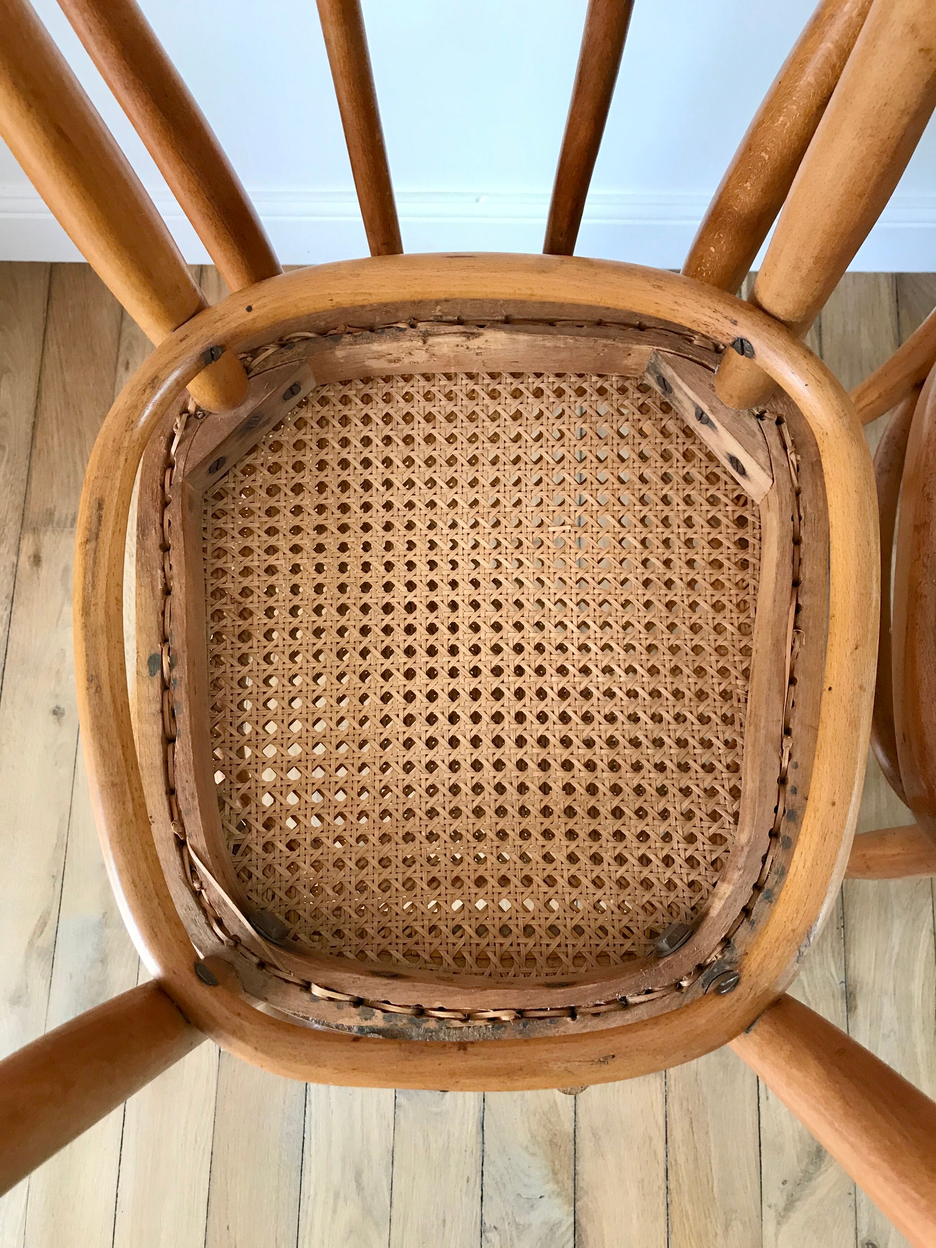 Set of 4 cane chairs in bentwood and honey-coloured cane thonet early 20th century