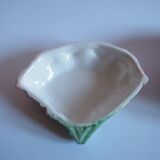 Saucière seashell in dabbling