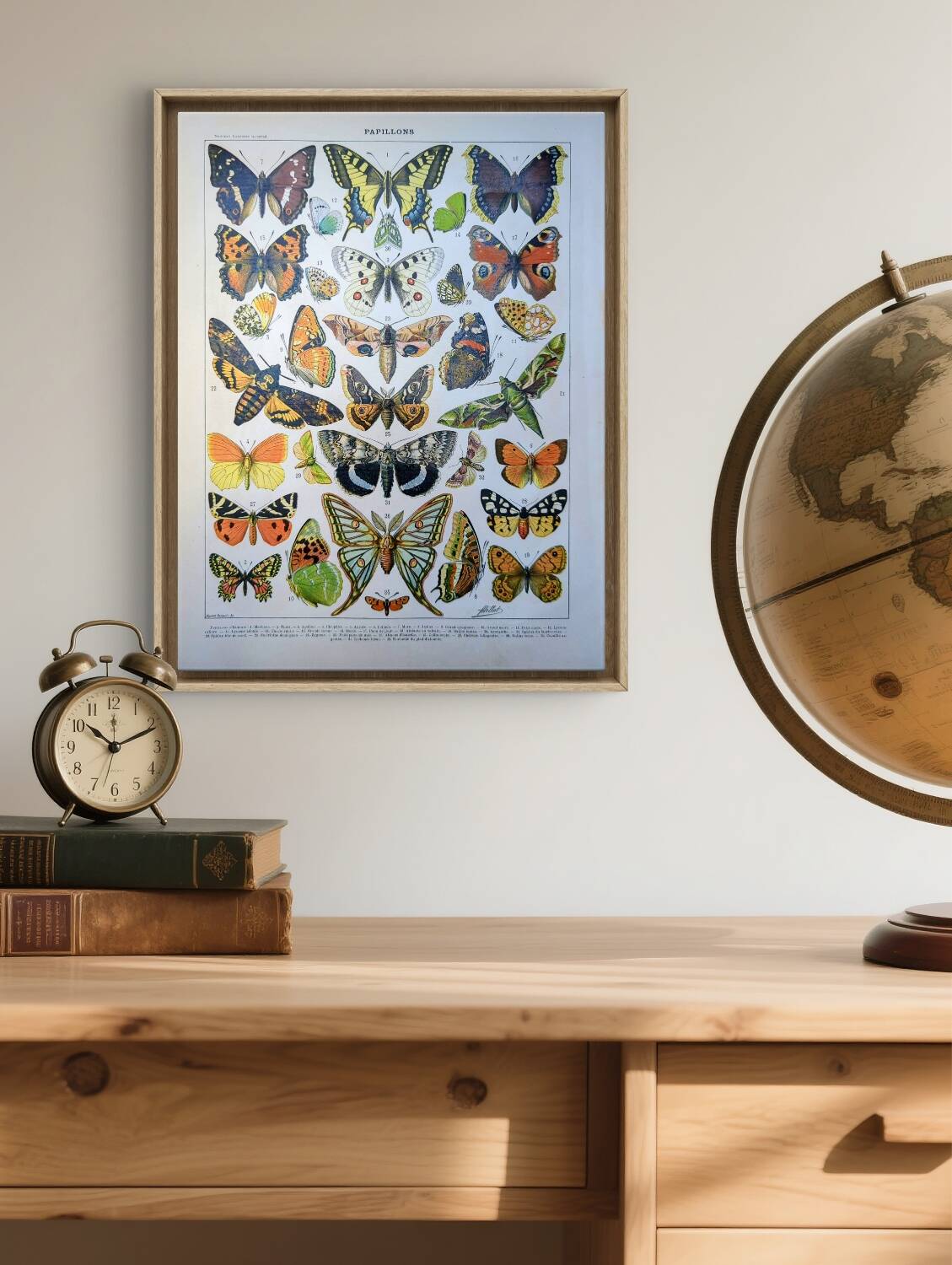 Imprimée en 1905, les papillons. Affiche Entomologique ancienne.