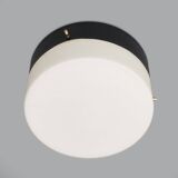 Vintage Opaline Glass Chandelier, 1950s