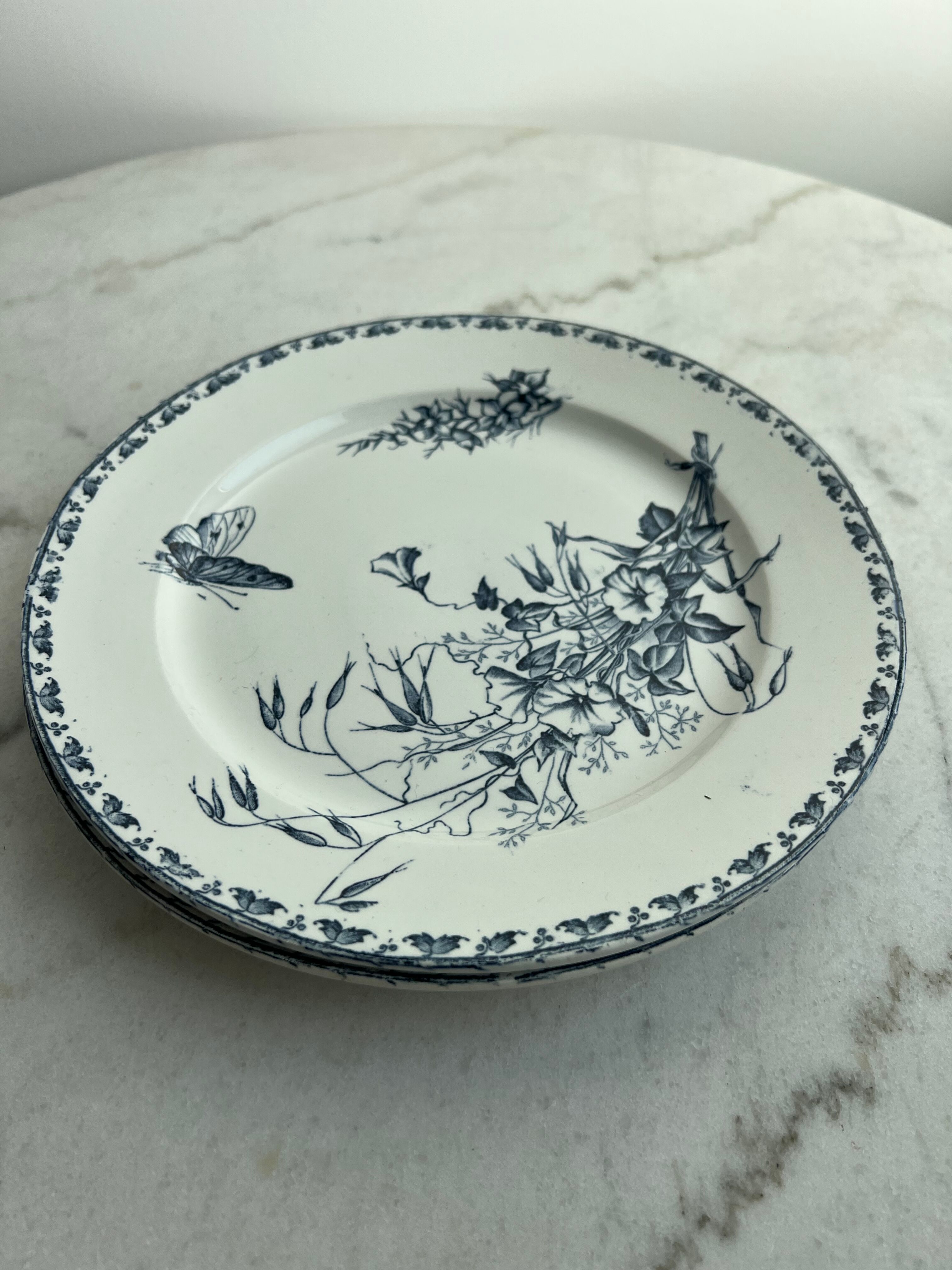 Flat plates Sarreguemines Carmen collection