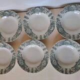 6 deep plates in Saint Amand earthenware, Persian model