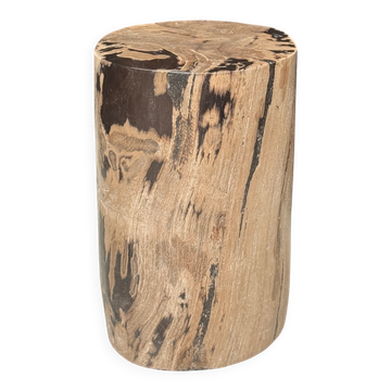 Brown and black petrified wood side table H35 D27 - 3333