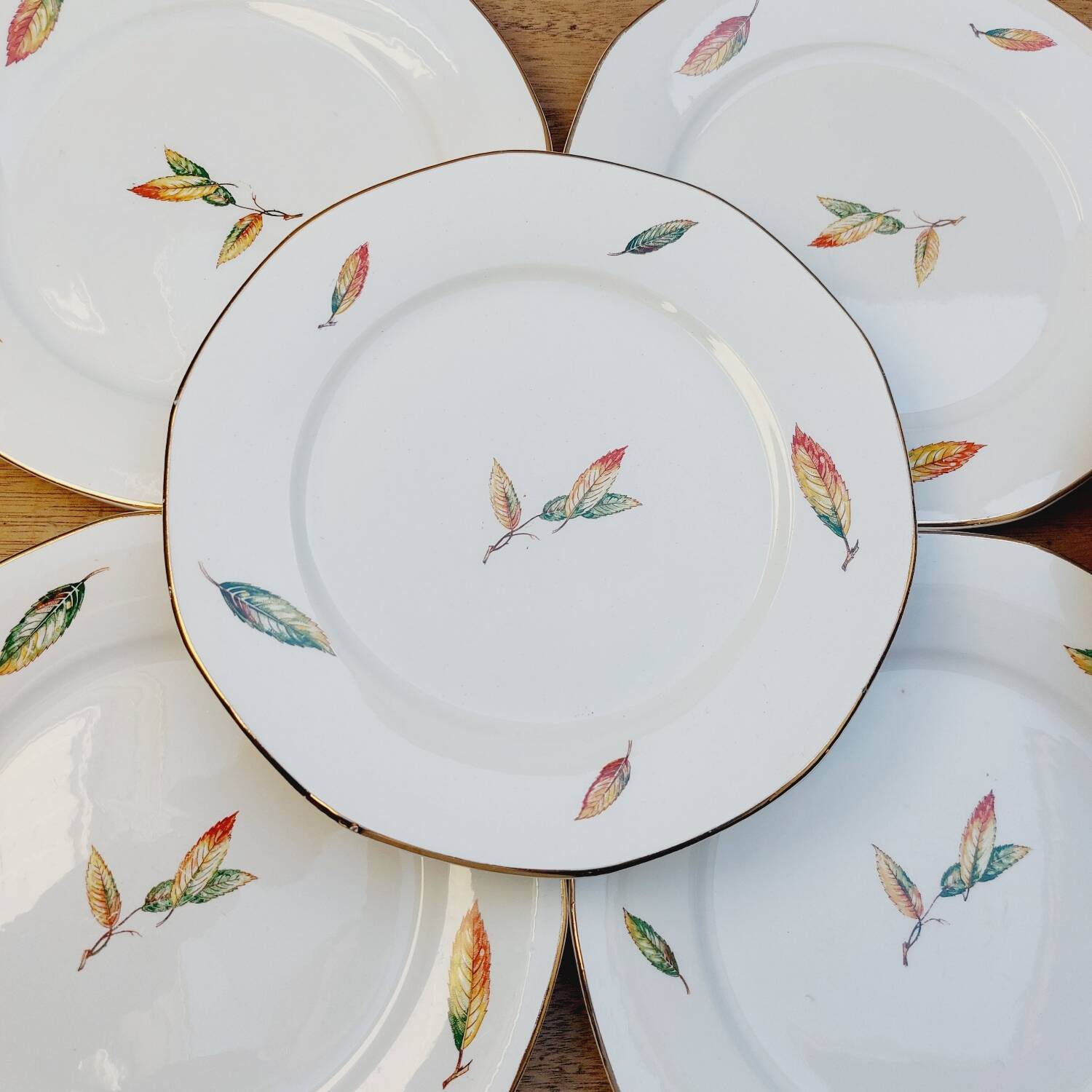 Digoin Sarreguemines Nemours flat plates